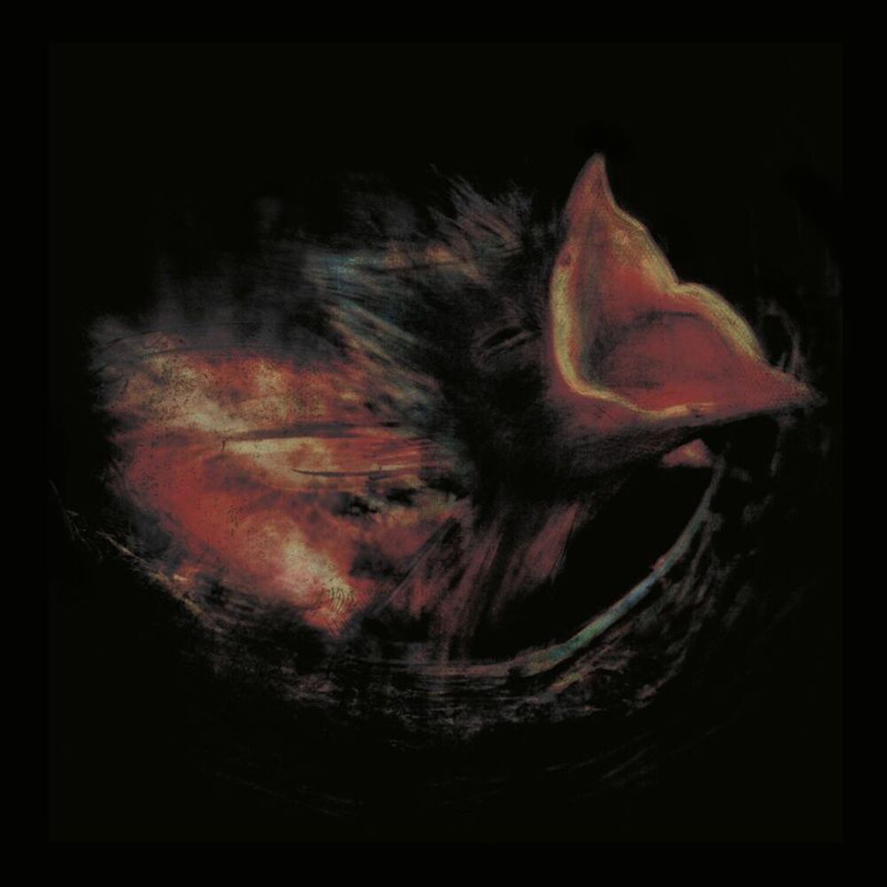 Gurriers - Nobody's Coming to Save You  CD